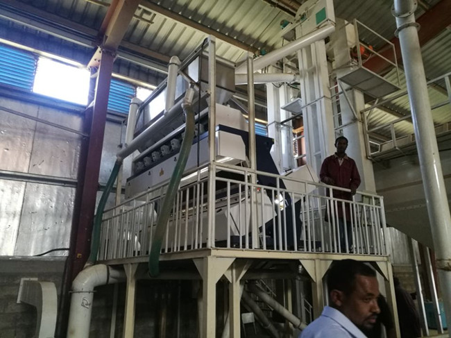 Color Sorter Machine